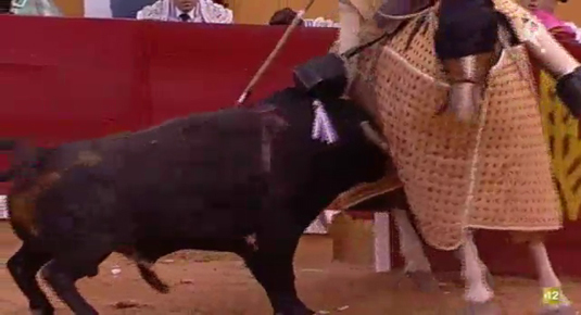 Corrida de toros de la Feria de San Juan de Badajoz (II) (20/06/14)
