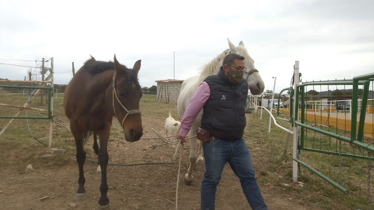 Cambio de vida a lomos de caballo