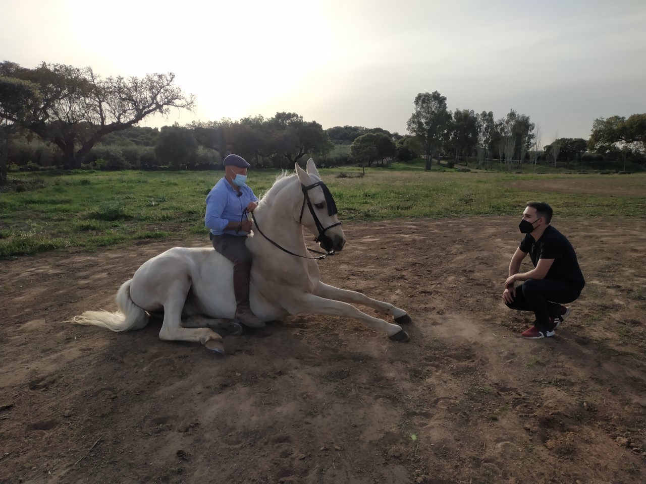 De Argentina a Extremadura a lomos de caballo