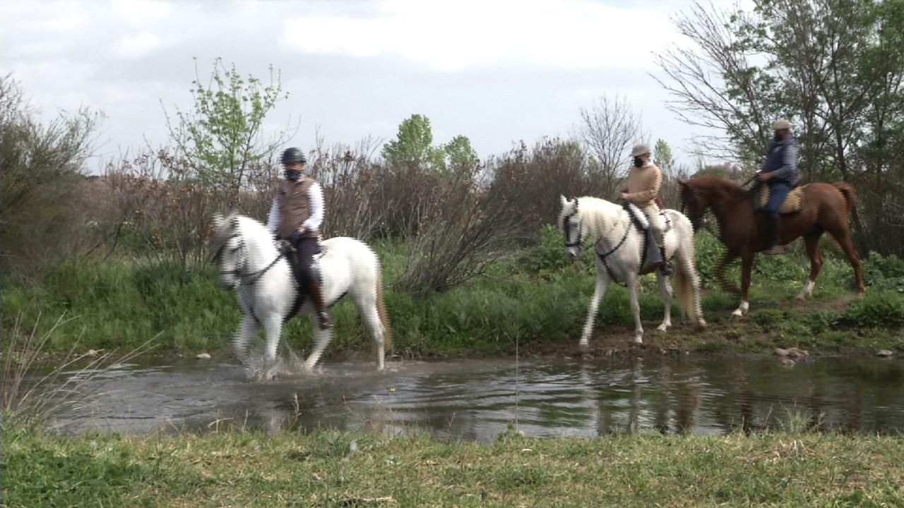 De ruta por Don Benito