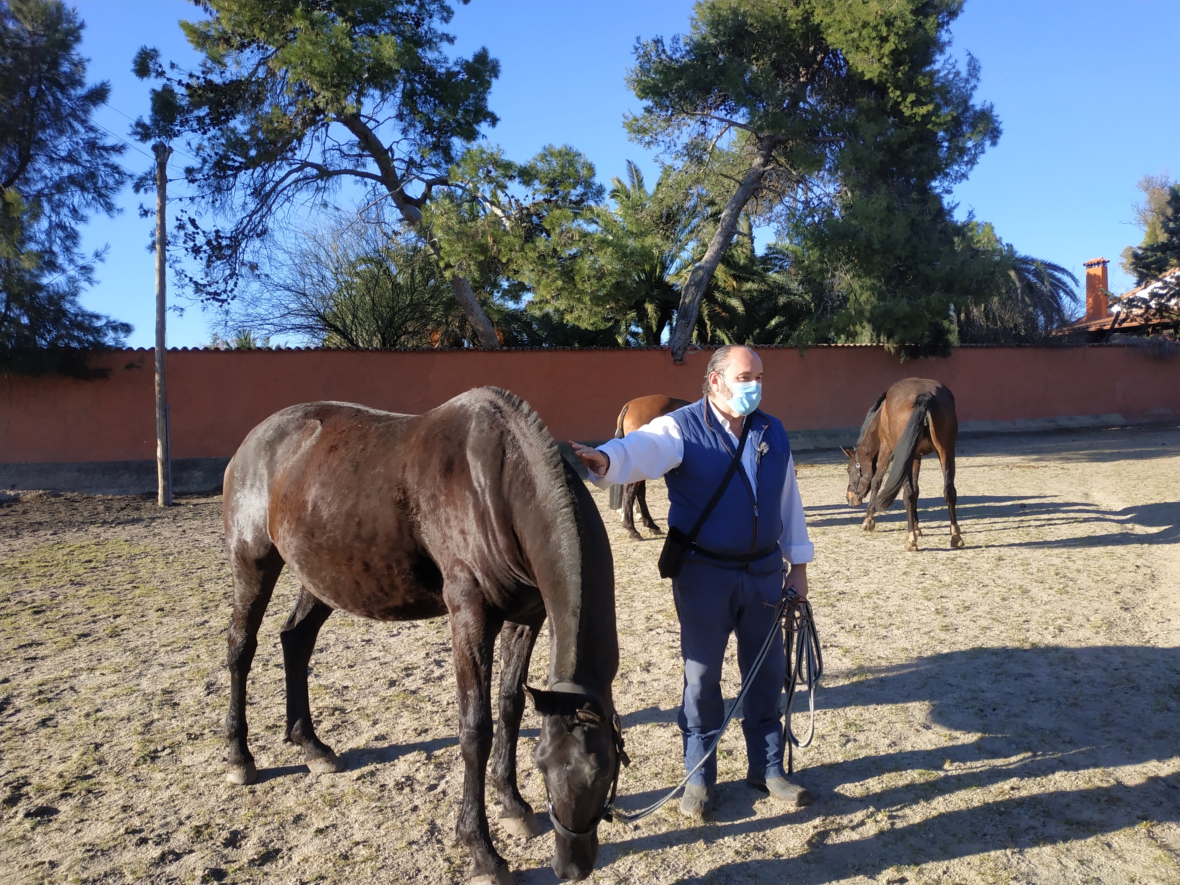 Fernando Molina y su yeguada: innovación, calidad y dedicación