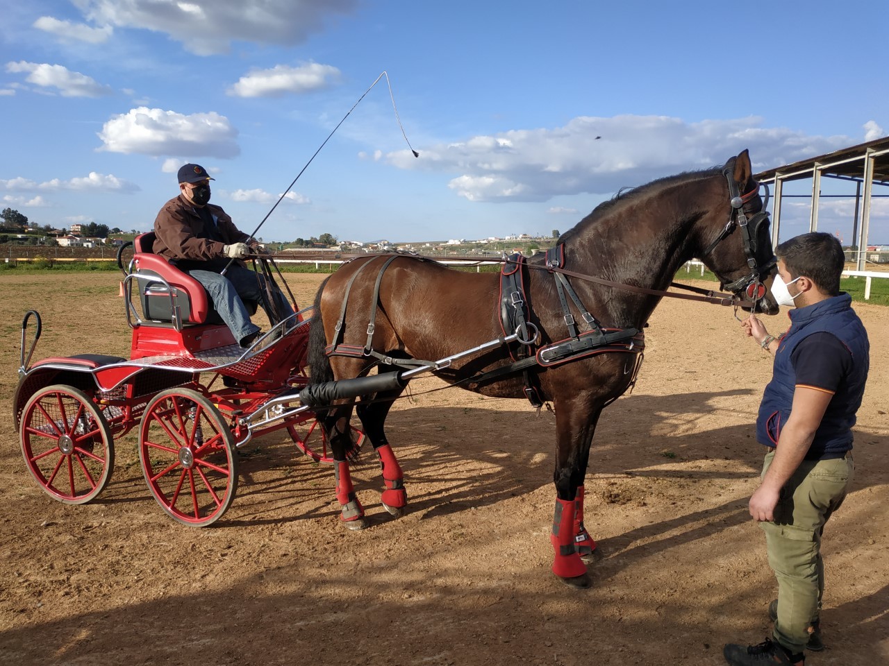 Padre e Hijo más unidos que nunca gracias al mundo del caballo