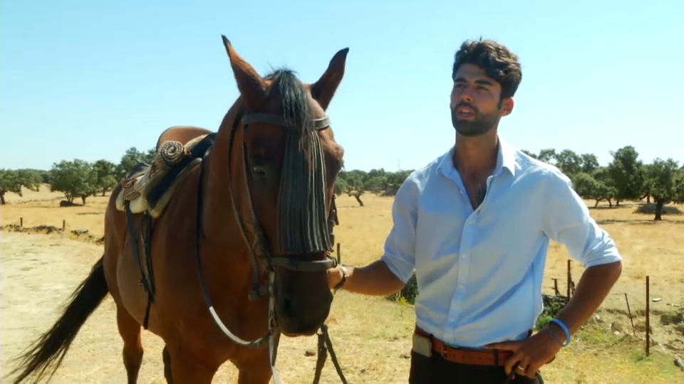 'Amigos caballistas', un camping para disfrutar con los caballos en Monfragüe