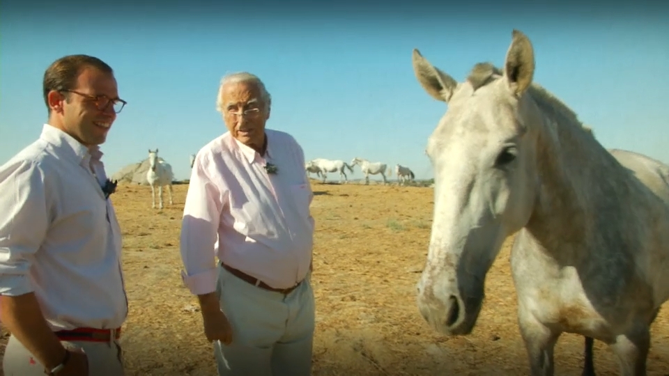 Antonio Martínez y los espectaculares caballos lusitanos