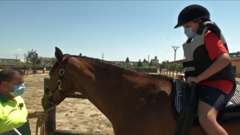 Beneficios de las terapias con caballos para los problemas de movilidad en menores