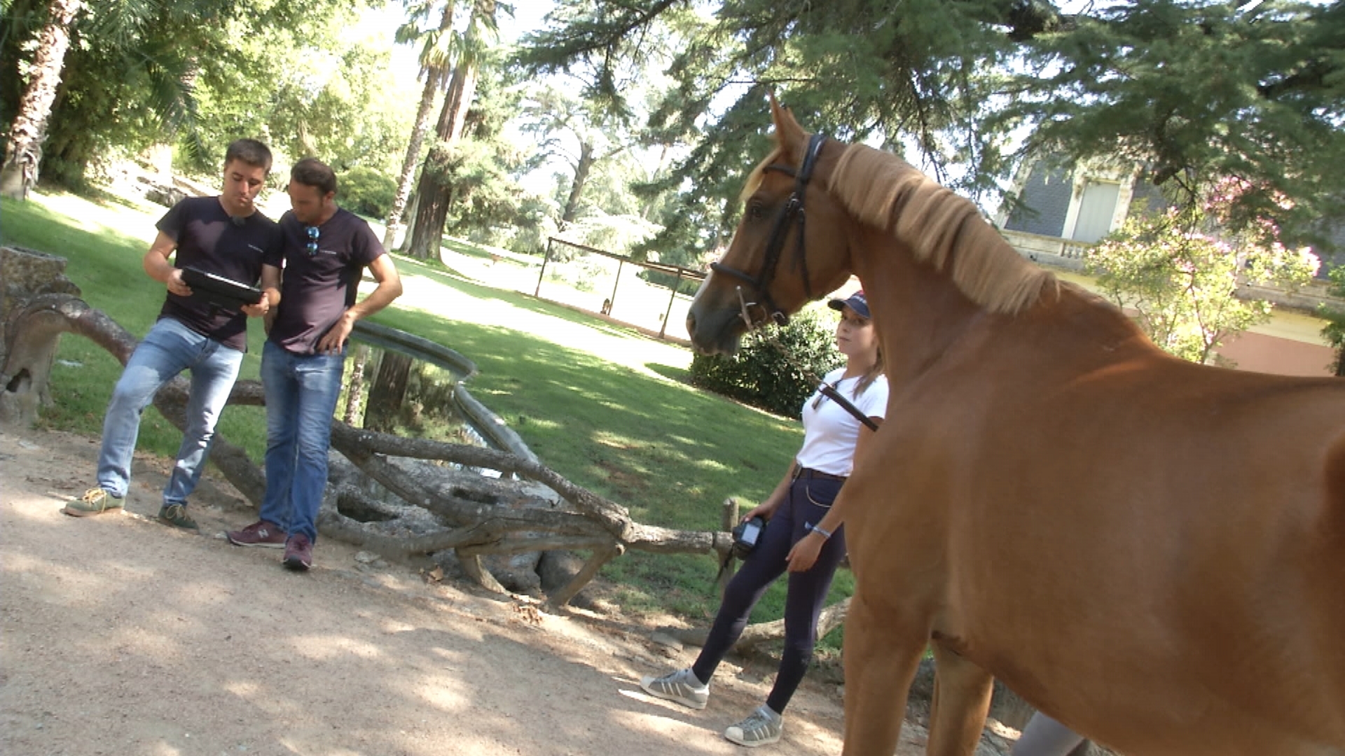 Dos emprendedores extremeños triunfan desde Elvas con las subastas de caballos