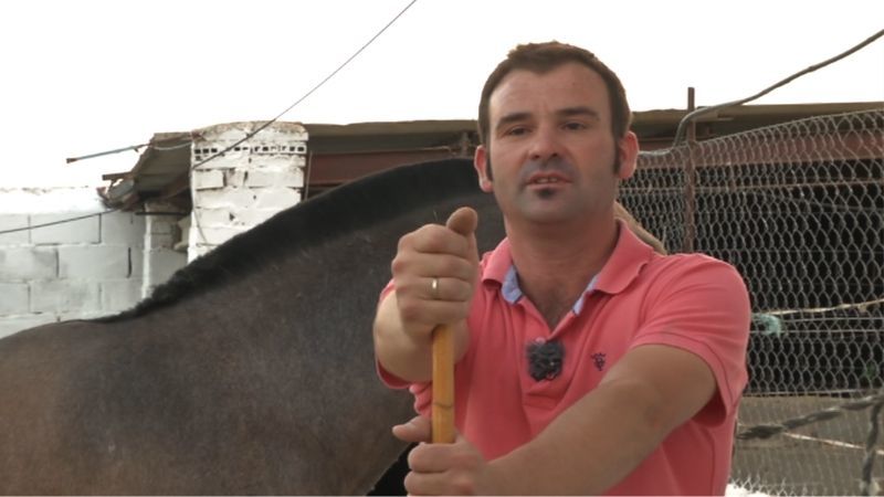 Los tratantes de caballos, una tradición que sobrevive en Extremadura