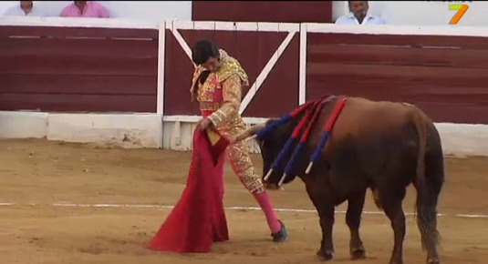 Extremadura Tierra de Toros: bautizo de reses en un herradero en la ganadería de Jandilla y Ambel Posada (13/11/11)