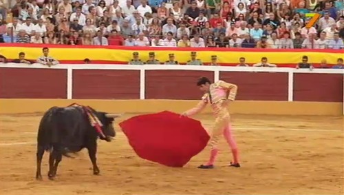 Extremadura Tierra de Toros: Feria taurina de Herrera del Duque (21/08/11)