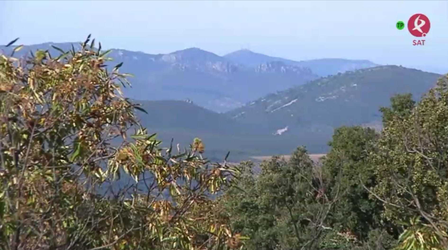 La ruta de los castaños de calabazas