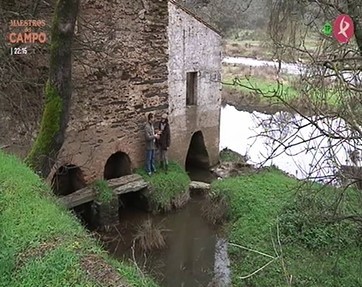 Ruta por el río Almonte