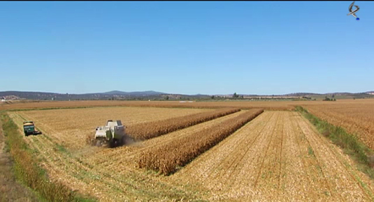 historia de la Política Agrícola Común PAC (09/01/13)