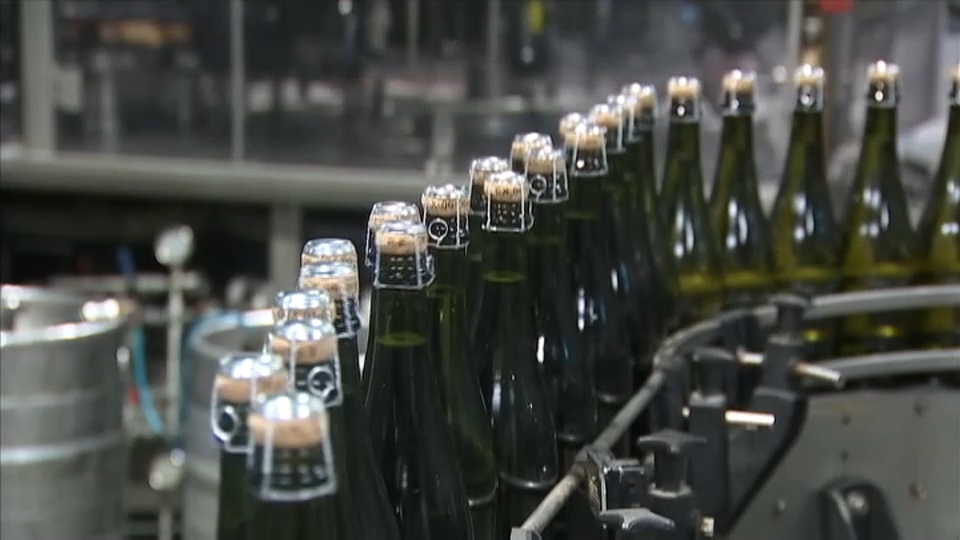 El cava extremeño espera comercializar este año diez millones de botellas