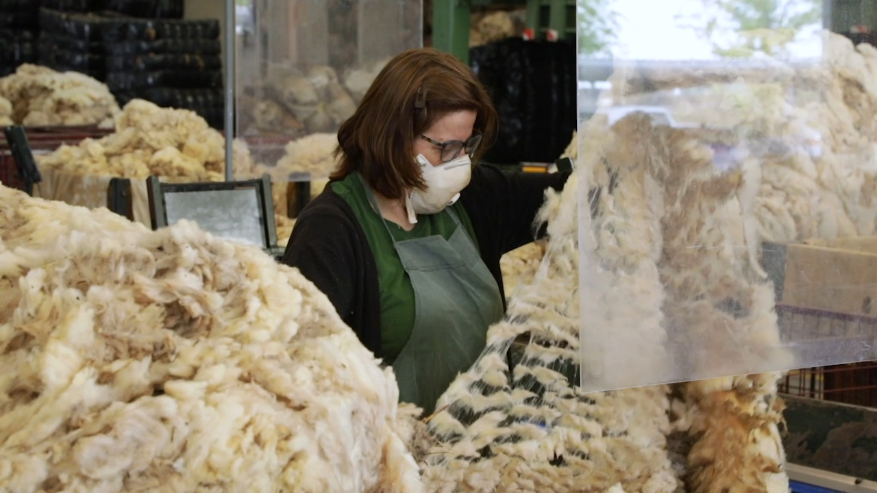 La lana y su proceso de transformación en plena comarca de La Serena