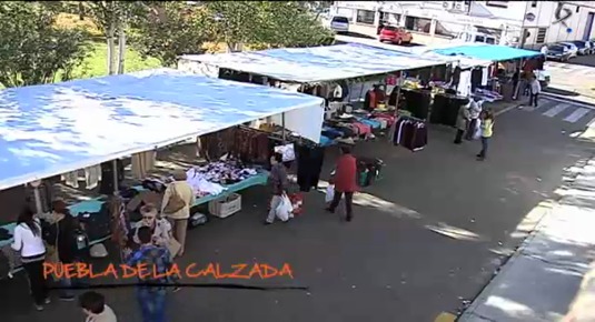 Puebla de la Calzada (04/12/13)