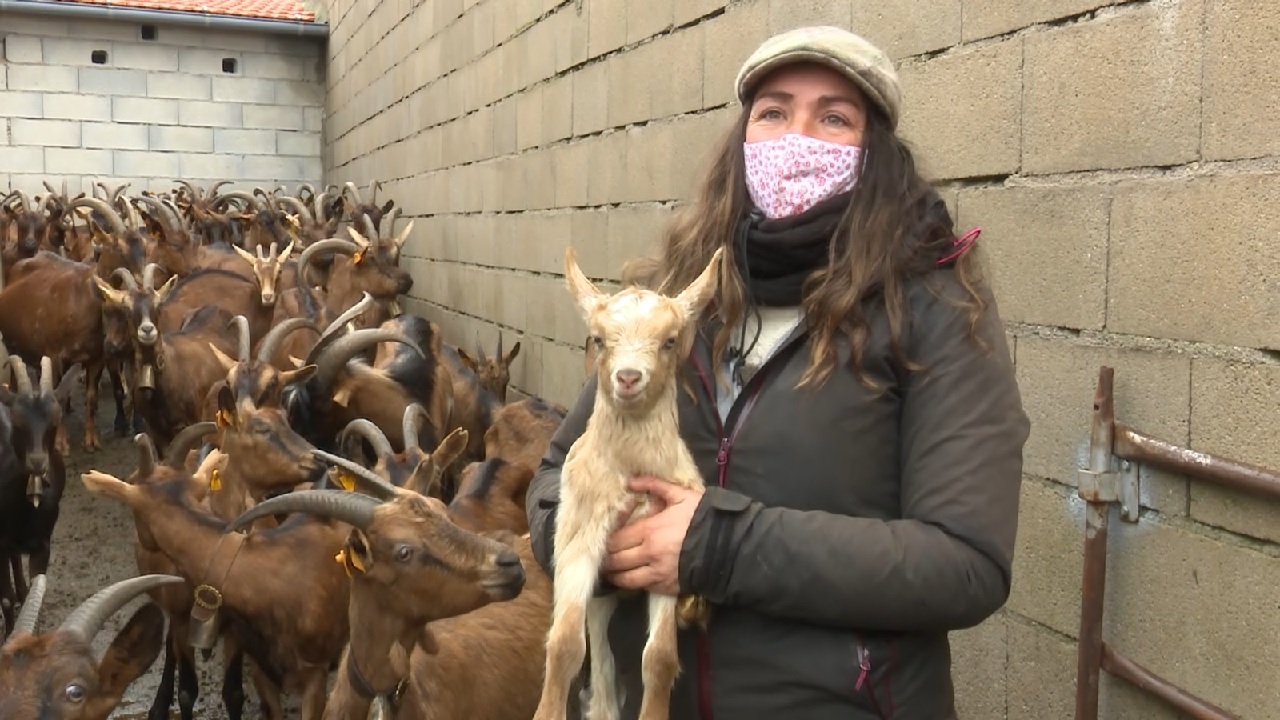 Mari, la administrativa que cambió la oficina por el campo y sus cabras
