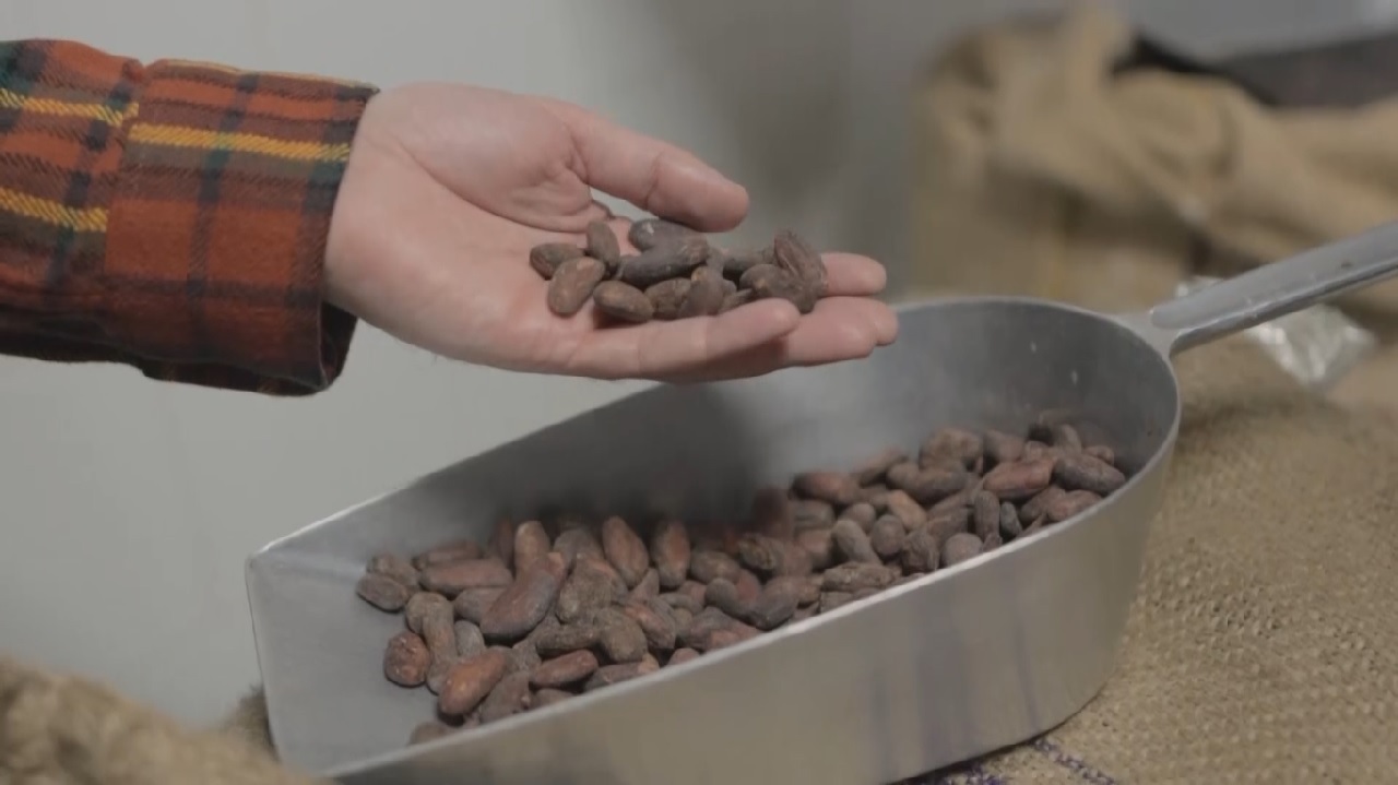 Fernando Moro elabora artesanalmente tabletas de chocolate negro a partir del grano de cacao