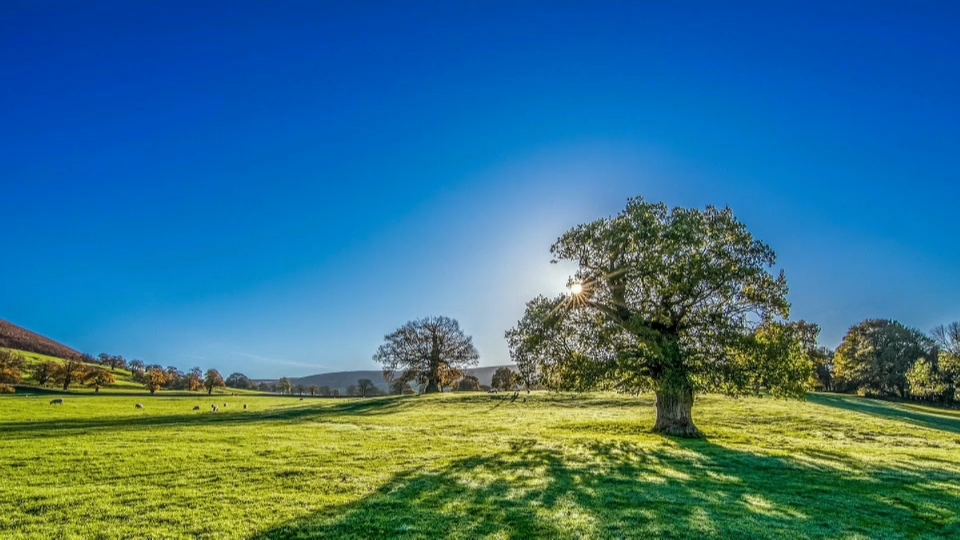 Vivir en el campo... ¿a qué precio?