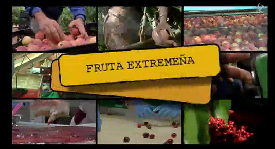 Fruta extremeña (06/06/14)