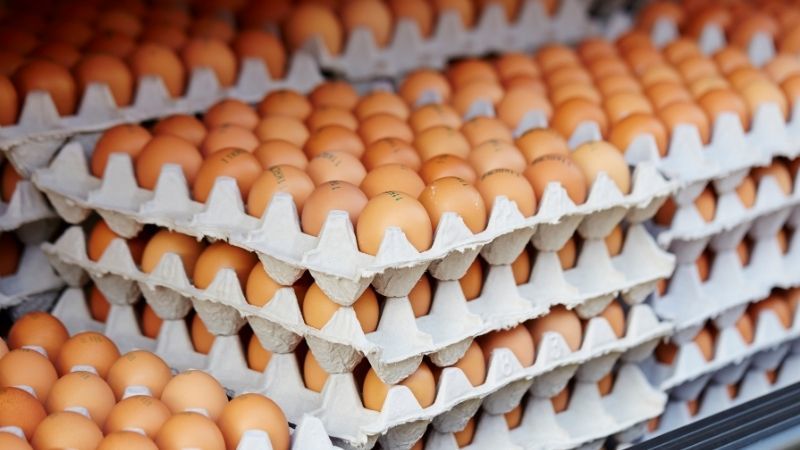 La información de los huevos
