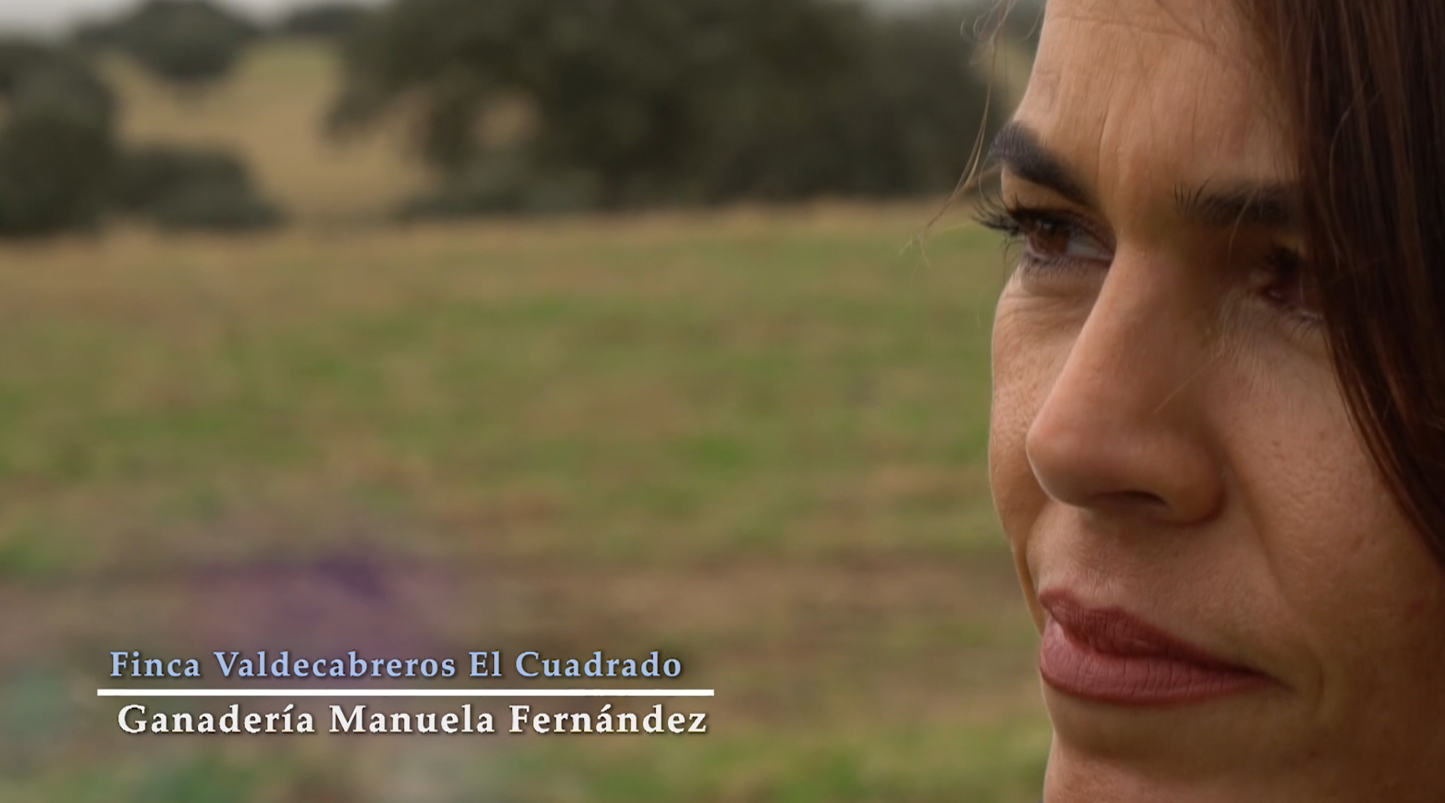 La Ganadería de Manuela Fernández, es el ejemplo del amor por el campo, el ganado y el toro.