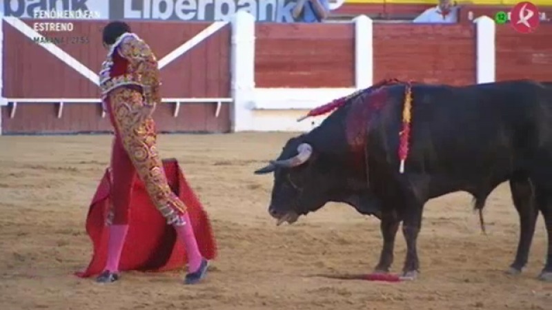 Toros Día de Extremadura desde Mérida