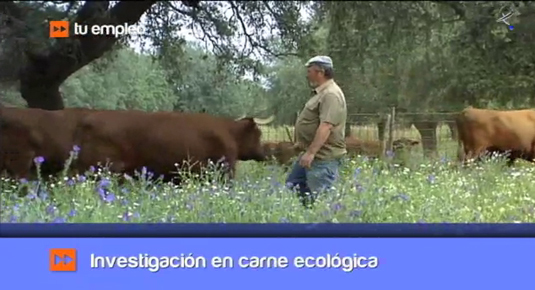 agricultura ecológica en Extremadura (17/05/13)