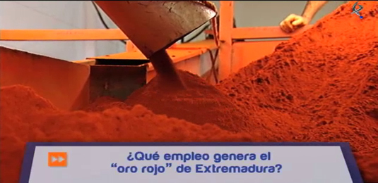 Alimentos de Extremadura (07/11/12)