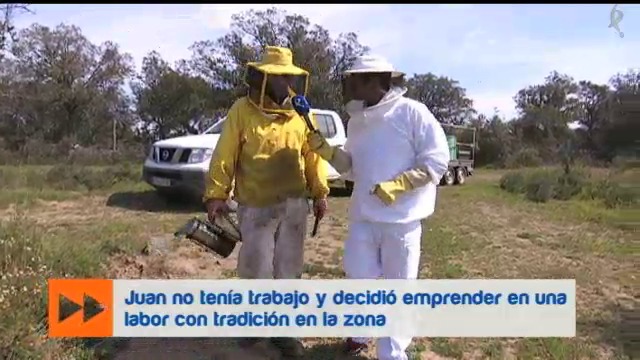 apicultura (14/04/16)