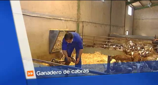 el sector caprino en Extremadura (30/04/15)