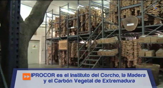 el sector del corcho en Extremadura (17/04/13)