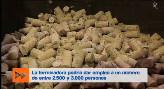 el sector del corcho en Extremadura (29/05/15)