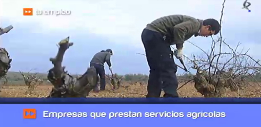 emprender en agricultura (01/02/13)