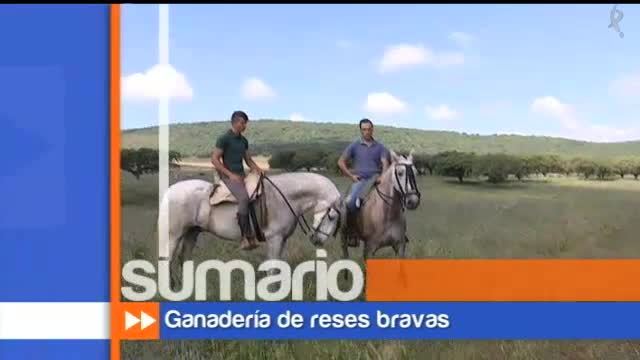 Feria del toro y el caballo (08/06/16)