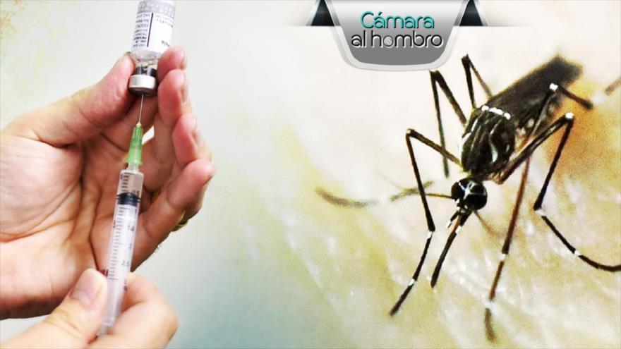 Chiapas, Dengue un problema de salud pública