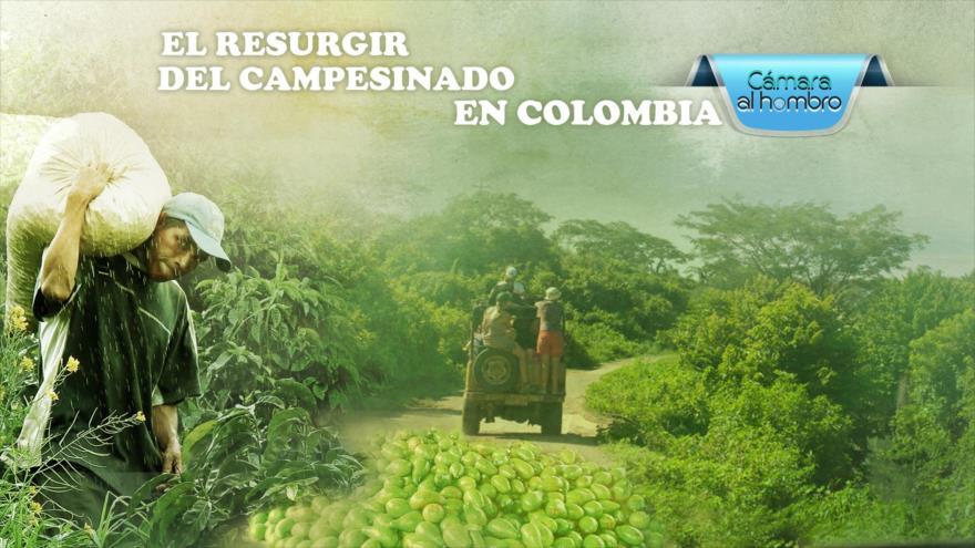El resurgir del campesinado en Colombia