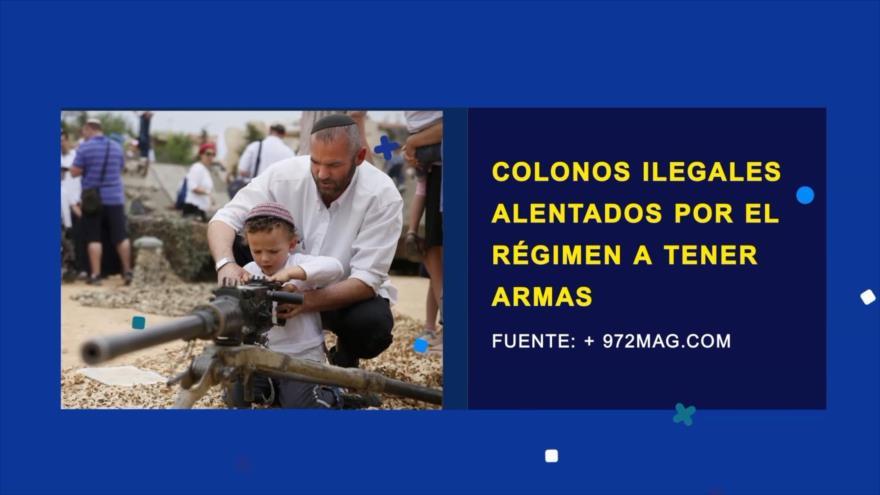 Armas para todos