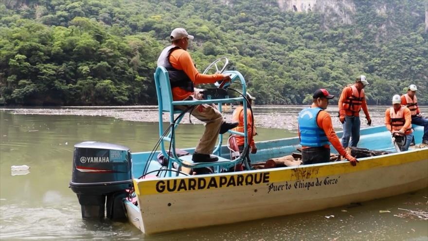 Áreas Naturales Protegidas en Chiapas dan trabajo a gente de comunidades | Minidocu
