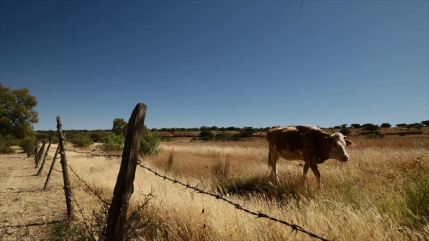 Seguridad alimentaria en México | Minidocu