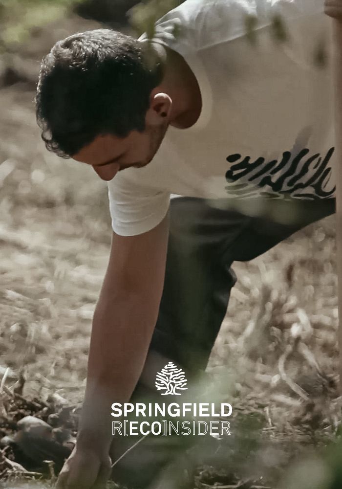 Bosque Springfield | Mitele | Televisión a la carta