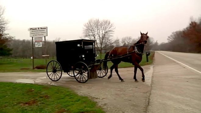 Temporada 5 Programa 188 - Amish de Arcola