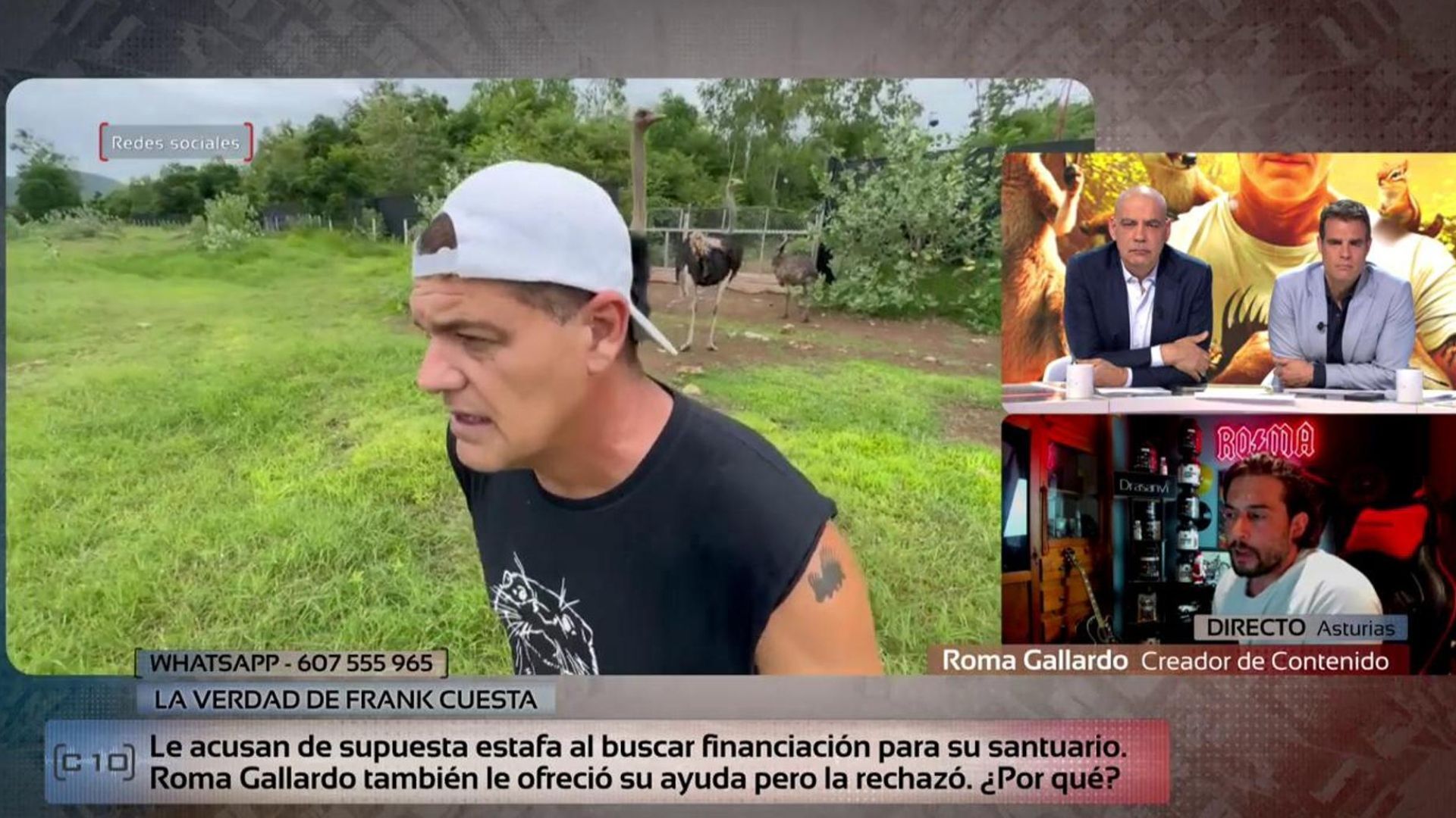 Especiales El youtuber Roma Gallardo, sobre la veracidad del comunicado de Frank Cuesta: 