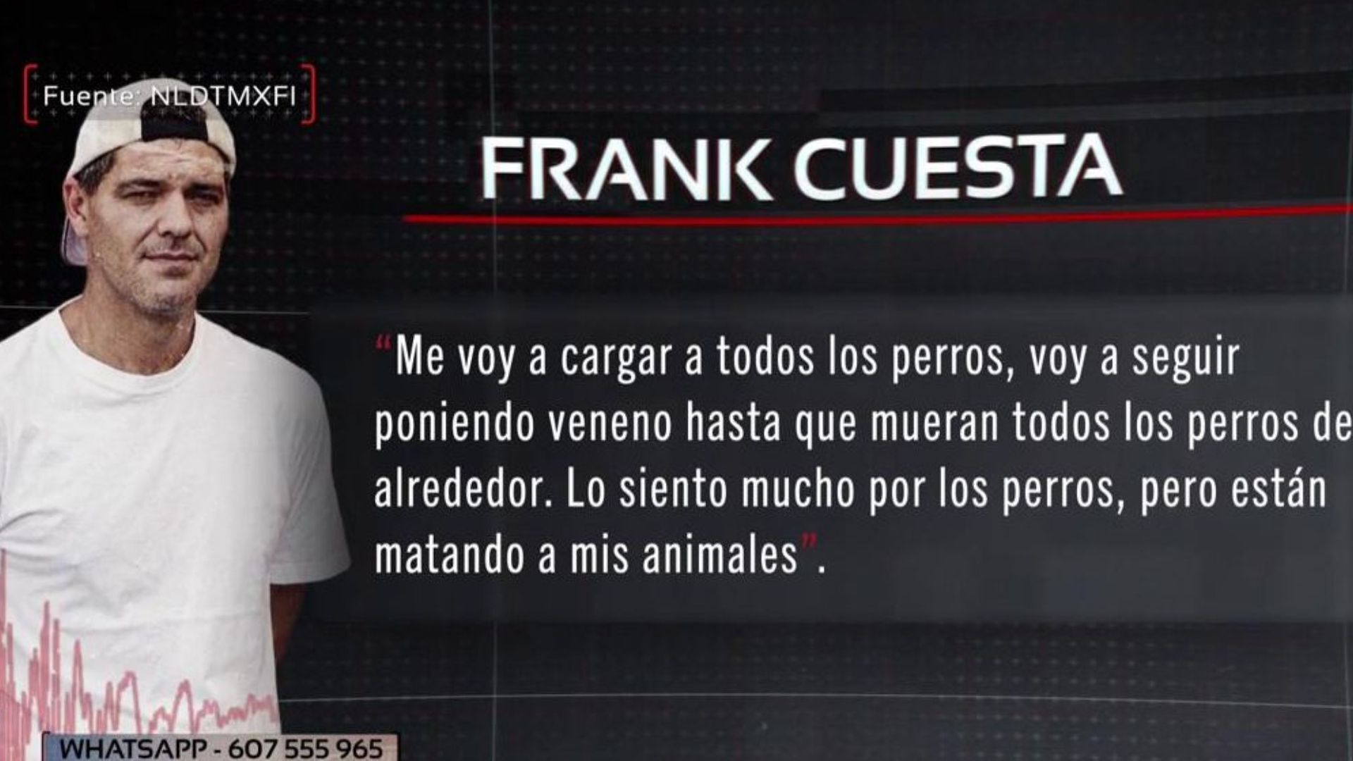 Top Vídeos Salen a la luz unos comprometedores audios de Frank Cuesta admitiendo que envenena a perros y gatos: 