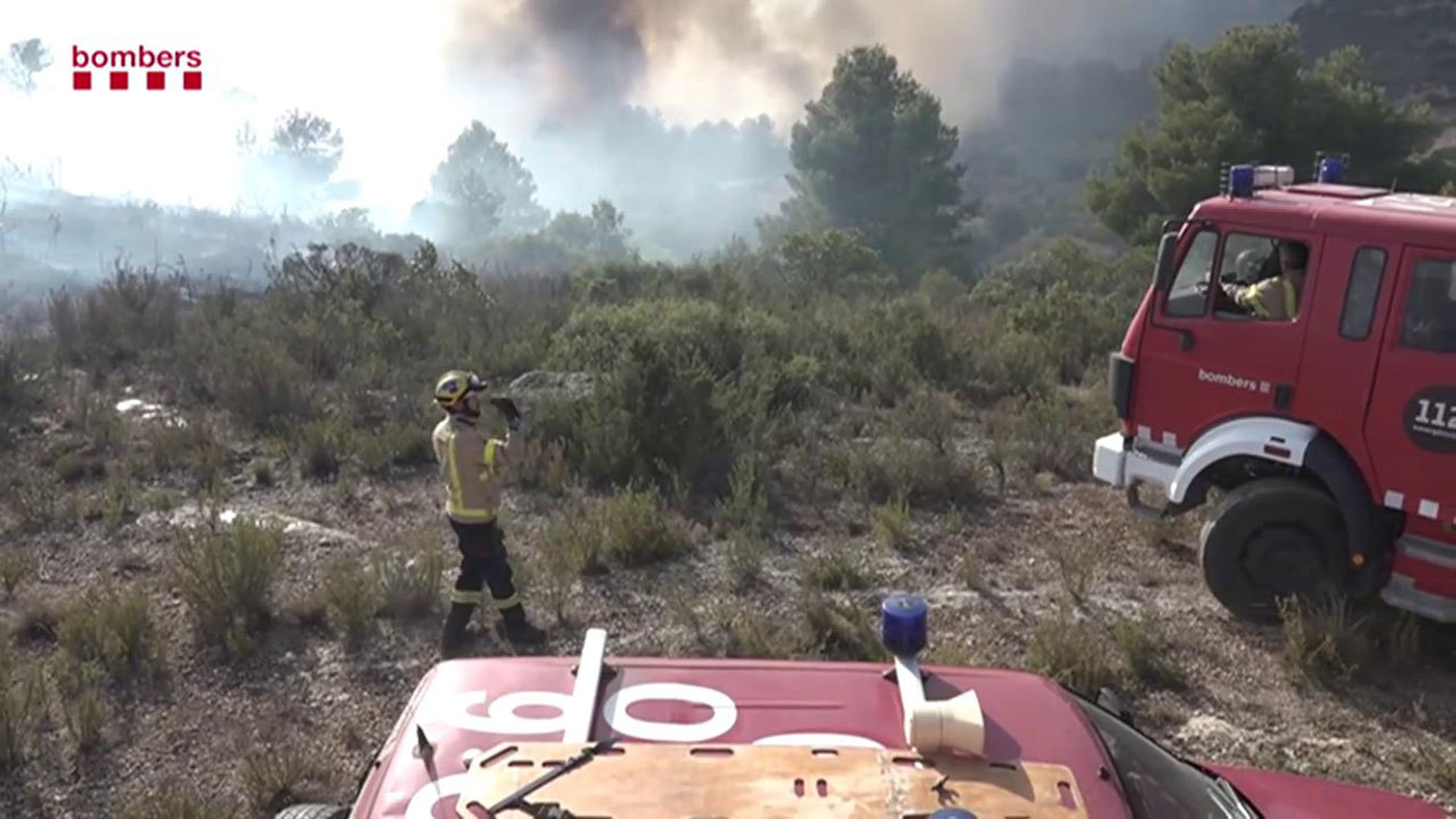 2019 Mediodía 27/06/2019 - Gran incendio en la Ribera del Ebro
