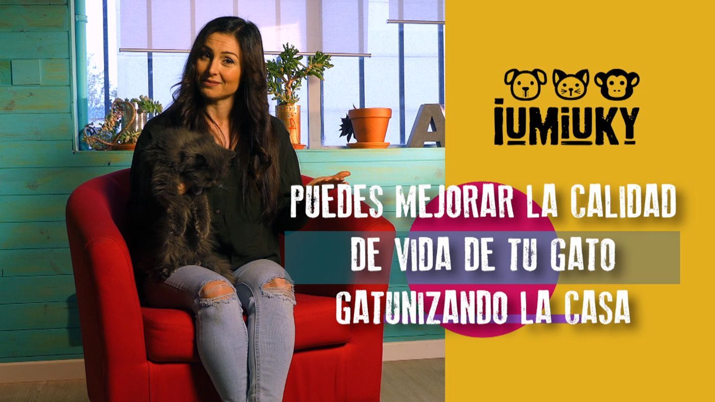 Temporada 3 Programa 218 - Gatuniza tu casa