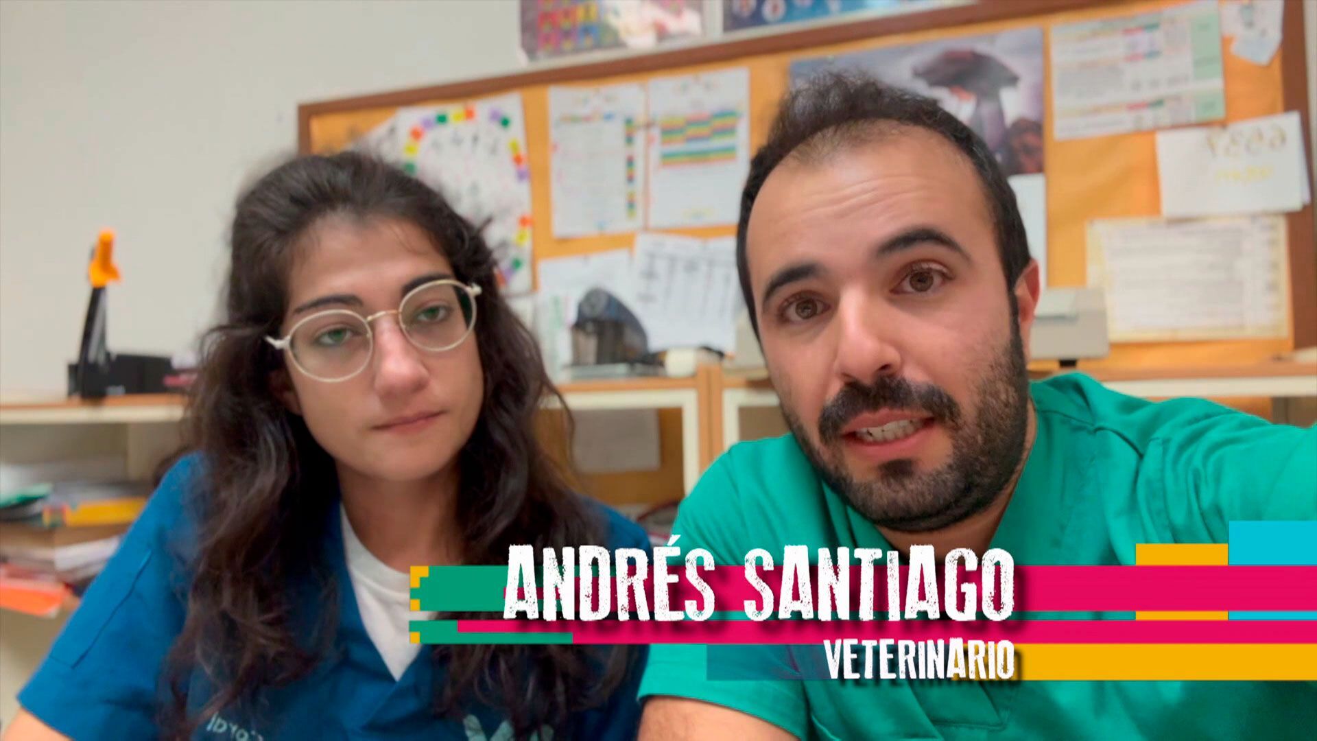 Temporada 3 Programa 245 - Hospital de campaña por la DANA para animales