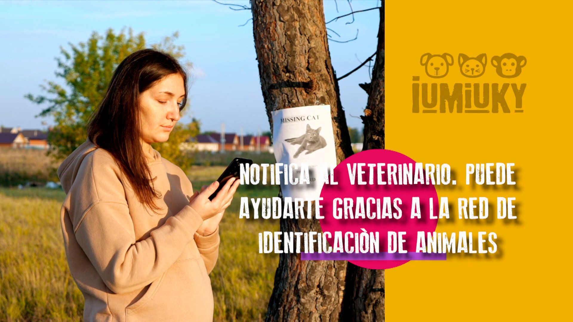 Temporada 3 Programa 247 - Qué hacer cuando perdemos a nuestro perro
