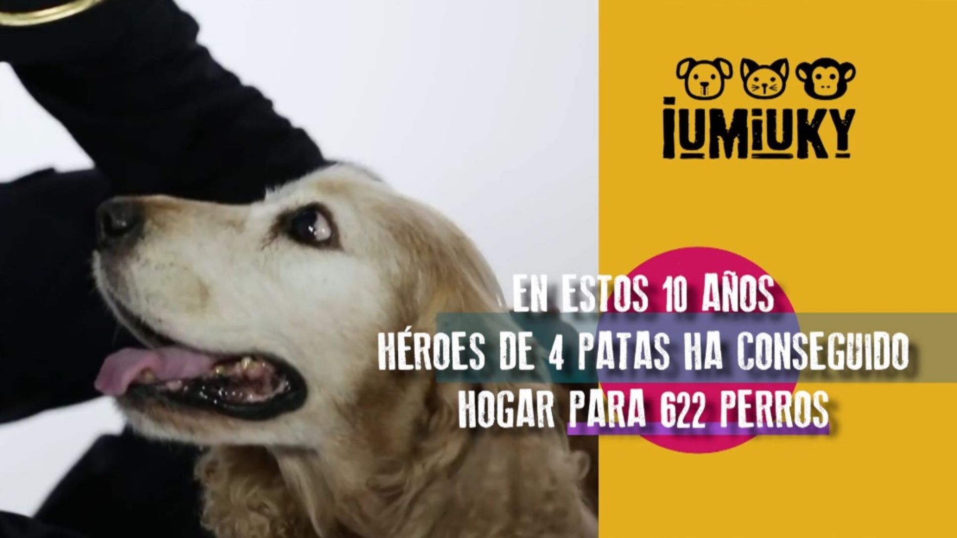 Temporada 3 Programa 250 - Gala 'Adopta un jubilado'