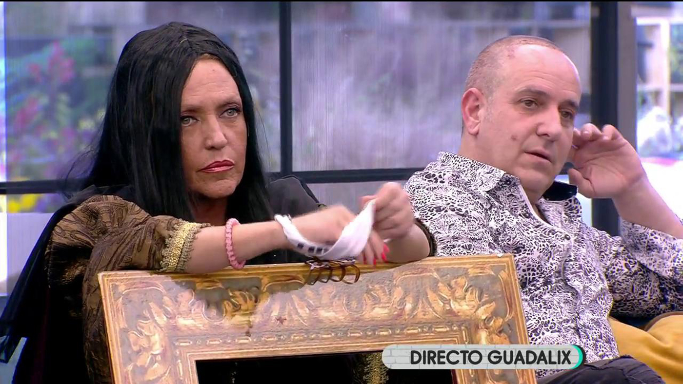 2019 Limón 15/04/2019 - La gran final de 'Sálvame Okupa'
