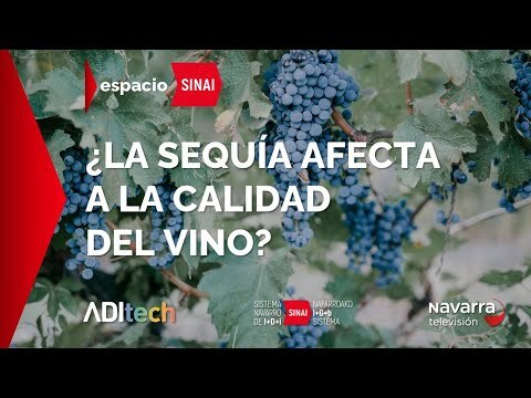 Multisensor | ¿La sequía afecta a la calidad del vino?